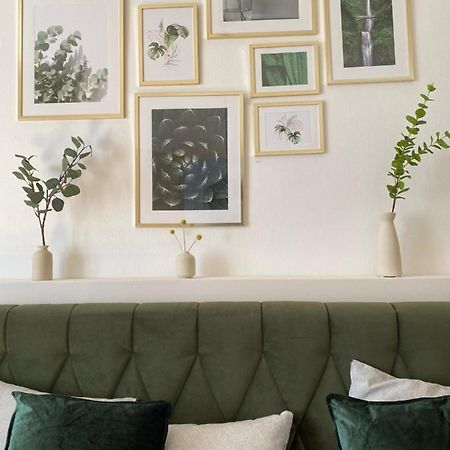 דירות וינה Big Vintage Style Flat Near Schonbrunn מראה חיצוני תמונה